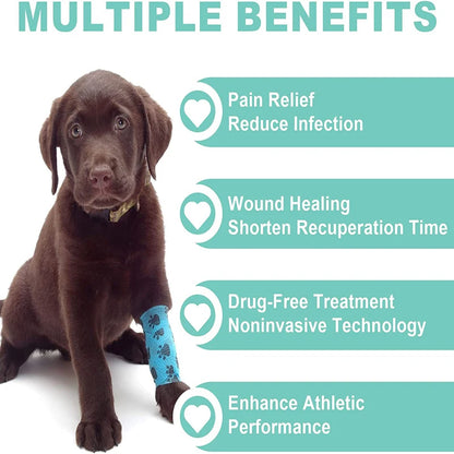 Cold Laser Therapy Vet Device for Pets 2x808nm Red Light Therapy Devices for Pain Relief Home Light Therapy for Dogs Cats Horses