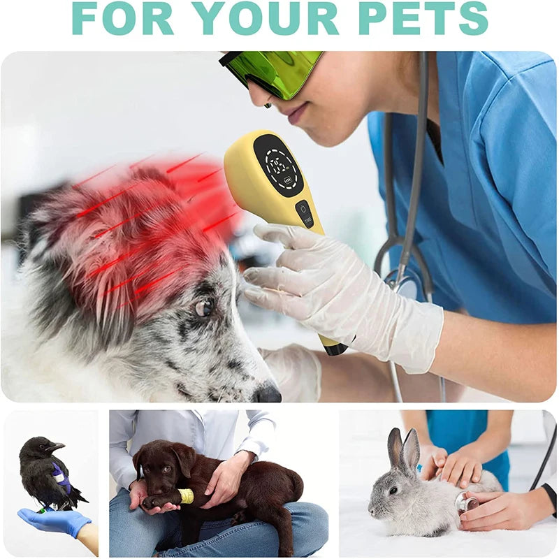 Cold Laser Therapy Vet Device for Pets 2x808nm Red Light Therapy Devices for Pain Relief Home Light Therapy for Dogs Cats Horses