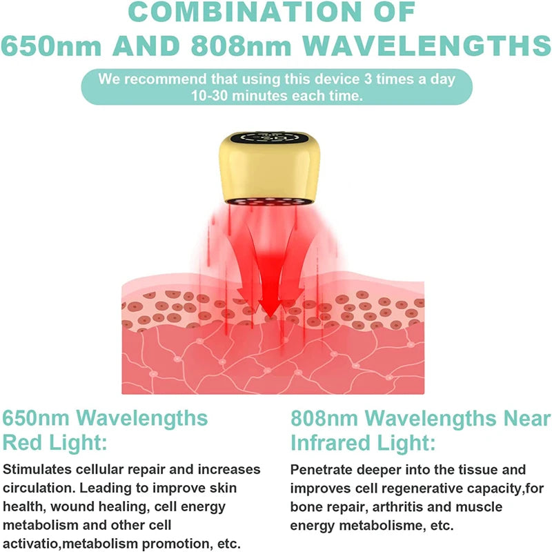 Cold Laser Therapy Vet Device for Pets 2x808nm Red Light Therapy Devices for Pain Relief Home Light Therapy for Dogs Cats Horses