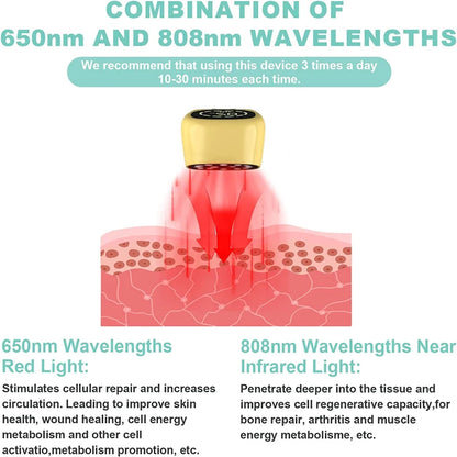 Cold Laser Therapy Vet Device for Pets 2x808nm Red Light Therapy Devices for Pain Relief Home Light Therapy for Dogs Cats Horses