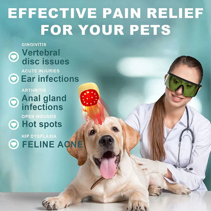 Cold Laser Therapy Vet Device for Pets 2x808nm Red Light Therapy Devices for Pain Relief Home Light Therapy for Dogs Cats Horses